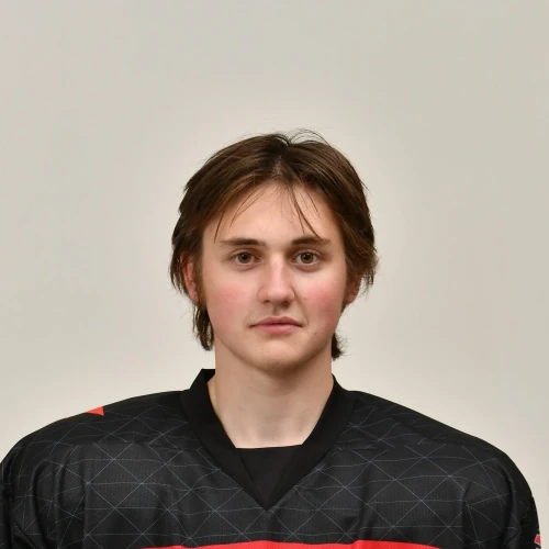 Rybakov Ilya Sergeevich