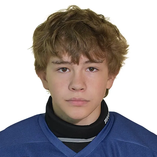 Dubrovin Dmitrii Valerevich