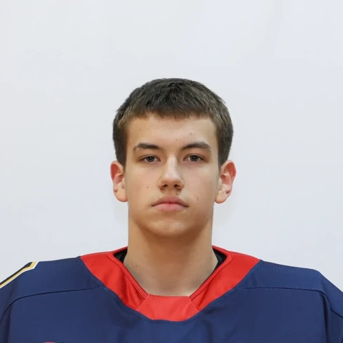 Babaev Rostislav Niyazovich