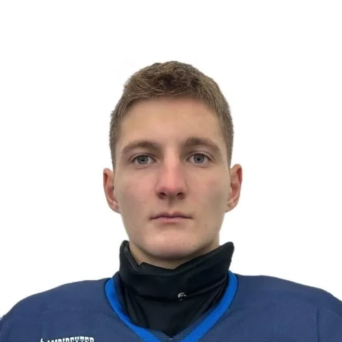 Shelepov Dmitrii Mihailovich