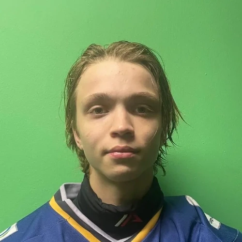 Safonov Artem Dmitrievich