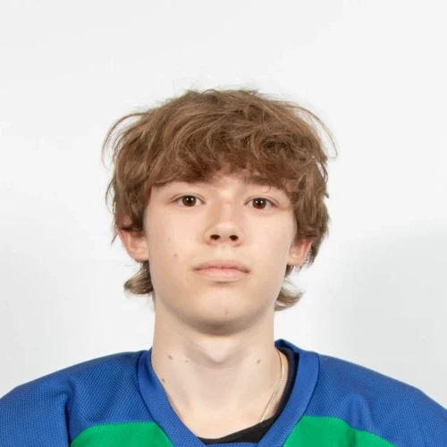 Sidyakin Daniil Andreevich