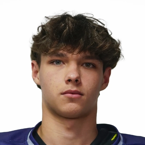 Kamyshnikov Yurii Dmitrievich