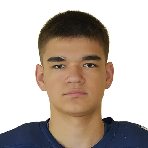 Shirev Pavel Valerevich