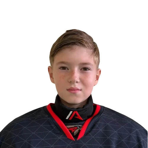 Shibanov Daniil Evgenevich