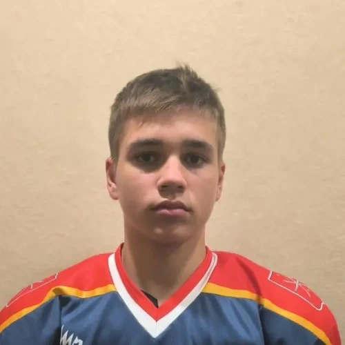 Vodkov Egor Viktorovich