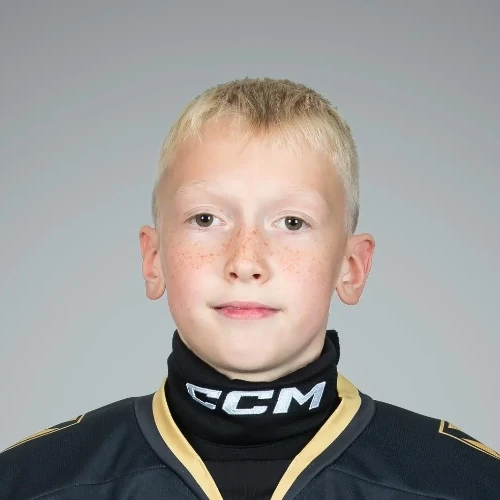 Knizhnik Artem Aleksandrovich