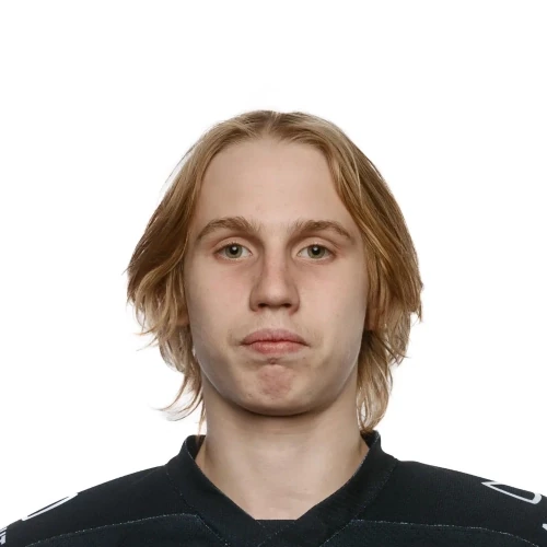 Uralev Ilya Maksimovich