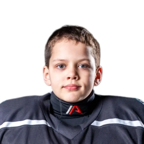 Voronkov Artem Sergeevich