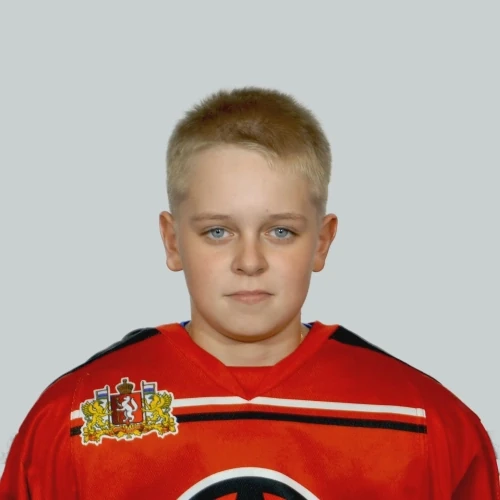 Loginov Nikita Igorevich