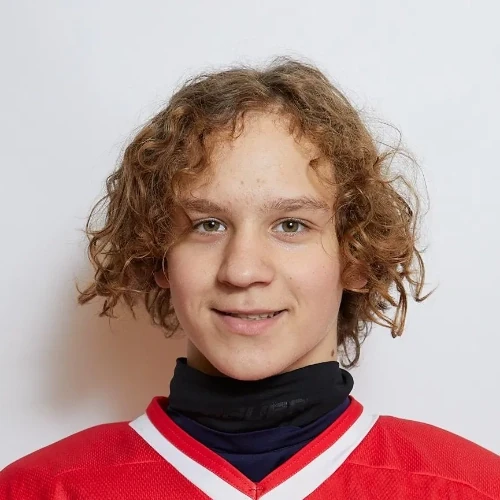 Anisimov Danil Vitalevich