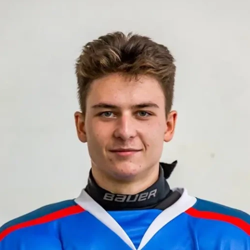 Bogdanov Mark Igorevich