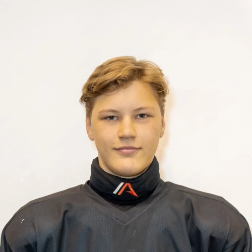 Radnaev Yaroslav Yurevich