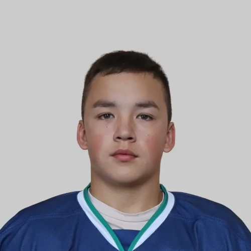 Hamidullin Ainur Rinatovich