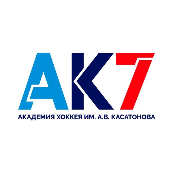 Академия Касатонова