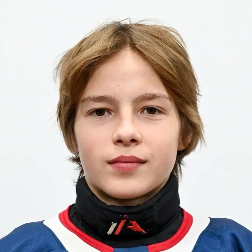 Prytkov Arsenii Alekseevich
