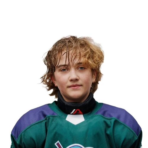 Krysin Sergei Sergeevich