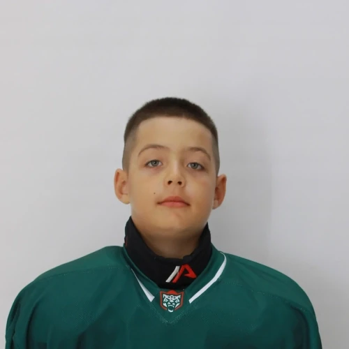 Saltykov Matvei Vladislavovich