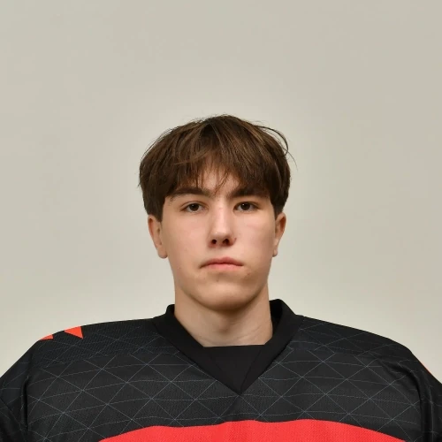 Plotnikov Elisei Stanislavovich