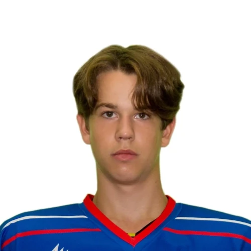 Tolchin Egor Aleksandrovich
