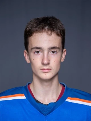 Solovev Dmitrii Grigorevich