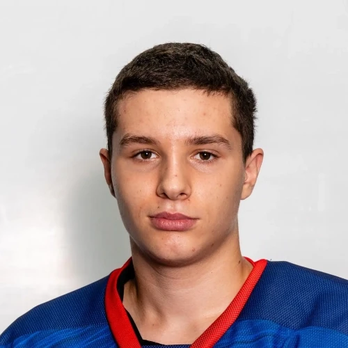 Litovchenko Artem Aleksandrovich