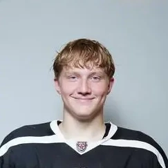 Grigorev Artem Alekseevich