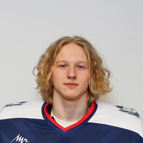 Suchkov Dobrynya Nikitich