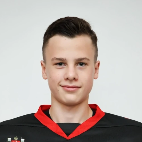 Torgashov Nikita Sergeevich