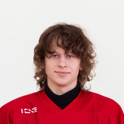 Dermer Nikita Maksimovich