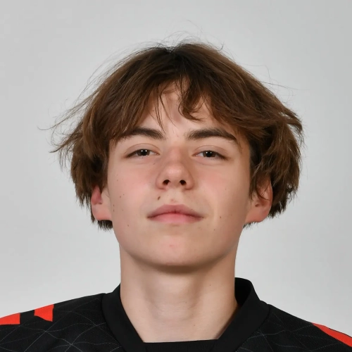 Gridnevskii Petr Sergeevich