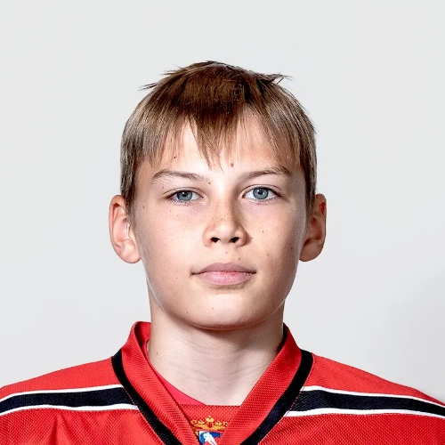 Gabdullin Nikita Denisovich