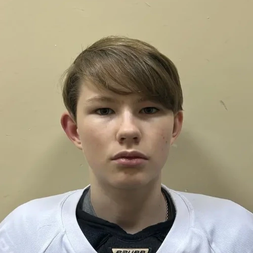 Borovikov Sergei Evgenevich