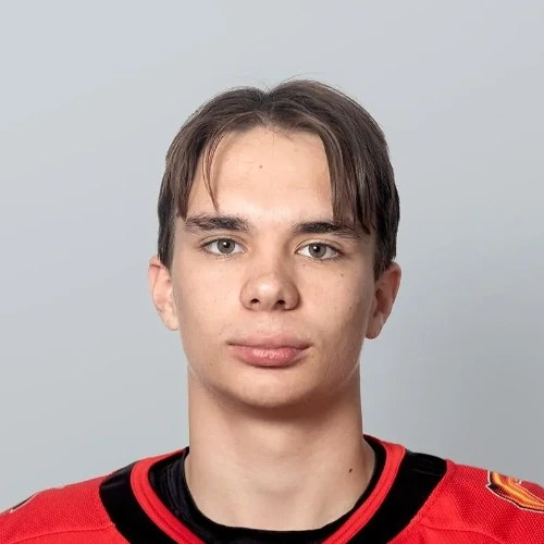 Kostyshev Arsenii Evgenevich