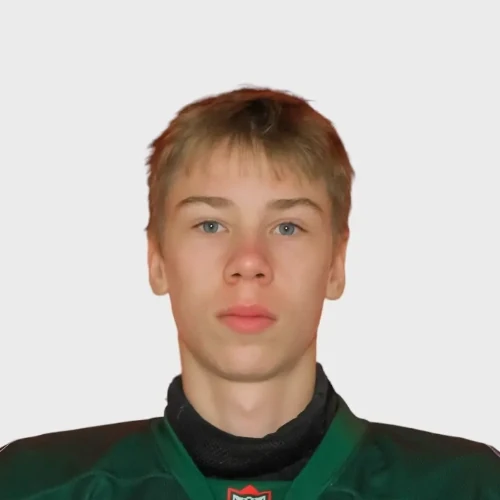 Gaveika Nikita Aleksandrsovich