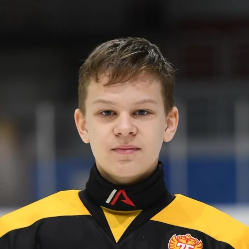 Nazin Denis Aleksandrovich