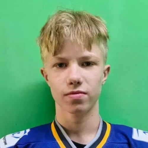 Zibarev Arsenii Igorevich