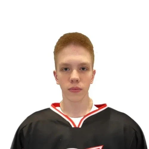 Kolesnikov Kirill Andreevich