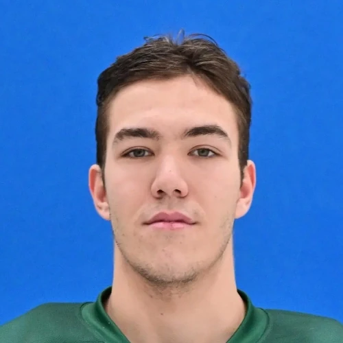 Harisov Artem Raifovich