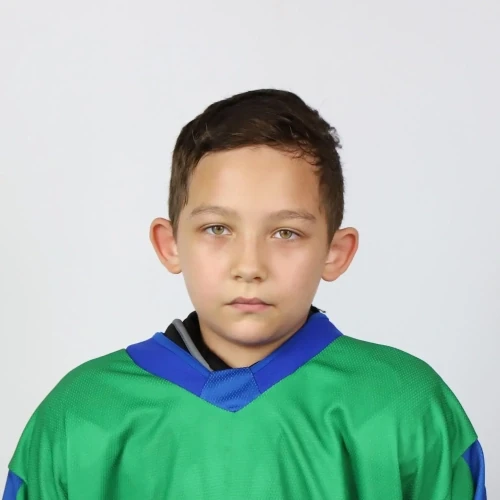Sergeev Aleksandr Alekseevich