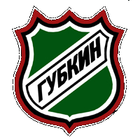 Губкин 2013-2014