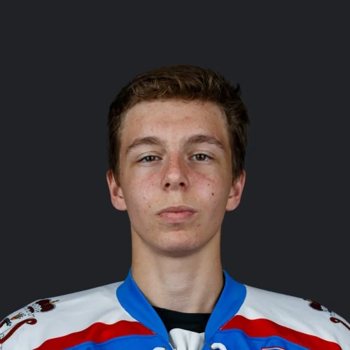 Grishkov Vadim Sergeevich