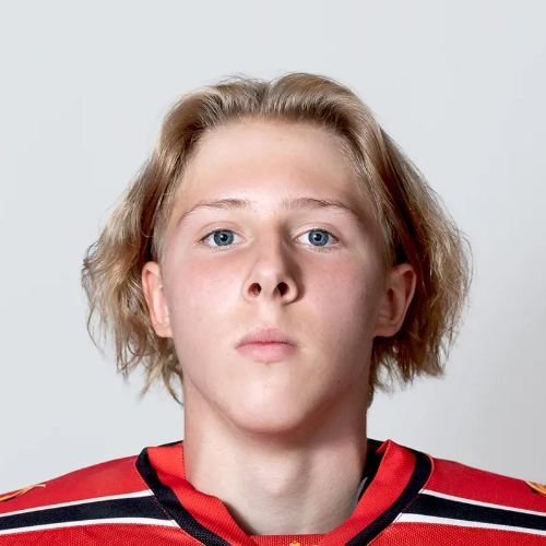 Krutikov Maksim Dmitrievich