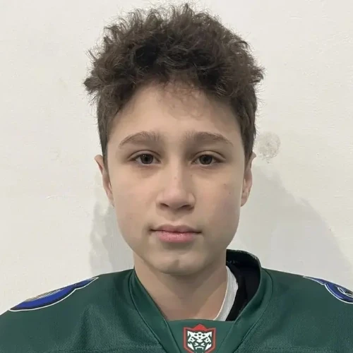Hairullin Amir Almazovich
