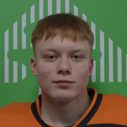 Nikolaev Andrei Dmitrievich