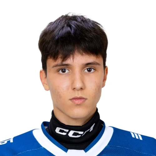 Davydov Vladislav Anatolevich
