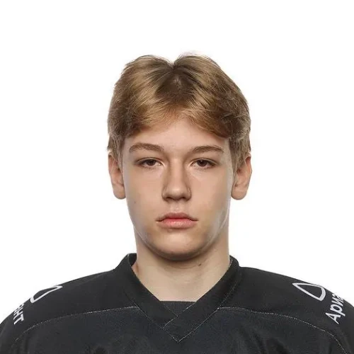 Kravtsov Nikita Alekseevich