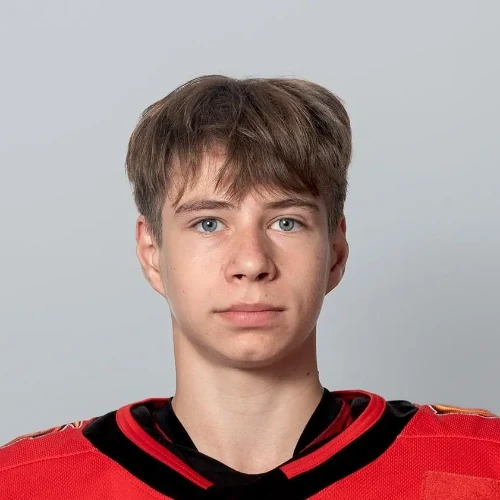 Sayapov Daniil Valentinovich