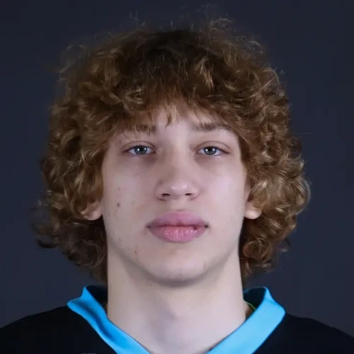 Meleshko Nikita Andreevich