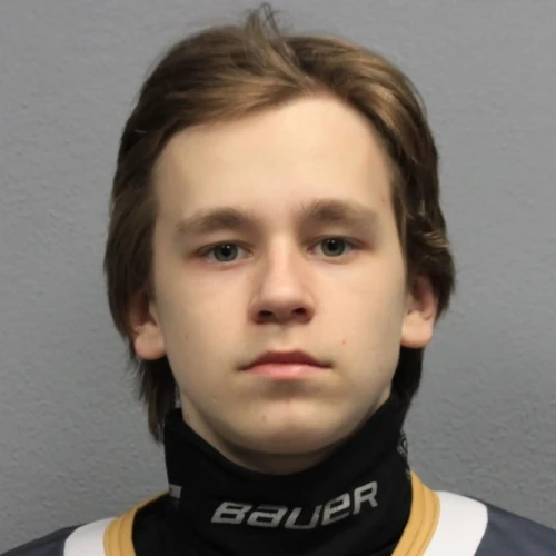 Nesterov Dmitrii Mihailovich